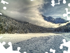 winter, Mountains, forest