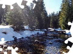 winter, River, forest