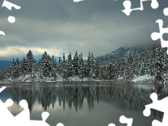 Mountains, lake, winter, forest