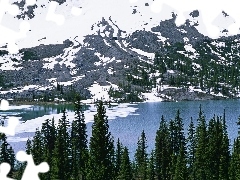 Mountains, Spruces, winter, River