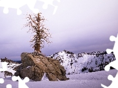 Mountains, trees, winter, Rocks