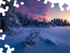 winter, trees, clouds, viewes, Great Sunsets, Ringerike Municipality, Norway, Home