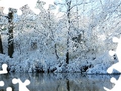 River, viewes, winter, trees