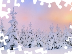 winter, Christmas, snow