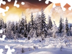 Spruces, Planet, winter, snow