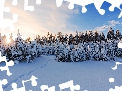 winter, Great Sunsets, viewes, snow, trees