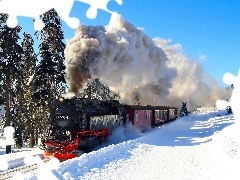 Train, viewes, winter, trees