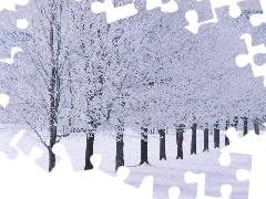 winter, line, trees