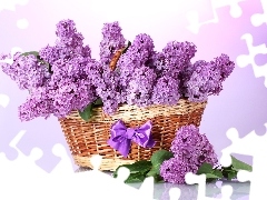 without, basket, Violet