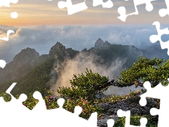 pine, Wolchulsan National Park, Sunrise, rocks, Wolchulsan Mountains, Fog, South Korea