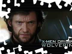 Wolverine Origins