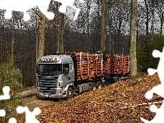 Wood, forest, Scania