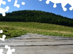 Zakopane, bridges, wooden, Meadow