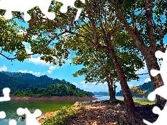 woods, clouds, Island, Mountains, lake