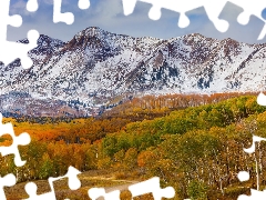 State of Colorado, The United States, autumn, Mountains, woods, Way, trees, viewes, Ohio Pass