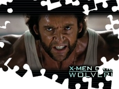 X_Men Wolverine Origins