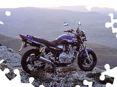 Yamaha XJR1300, Engine