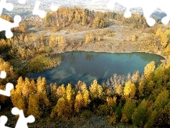 birch, autumn, Yellow, Houses, Leaf, lake