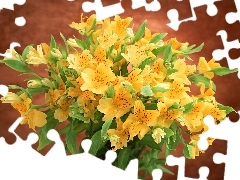 Alstroemeria, bouquet, Yellow