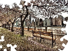 River, boulevard, New York, USA, skyscrapers, Bench