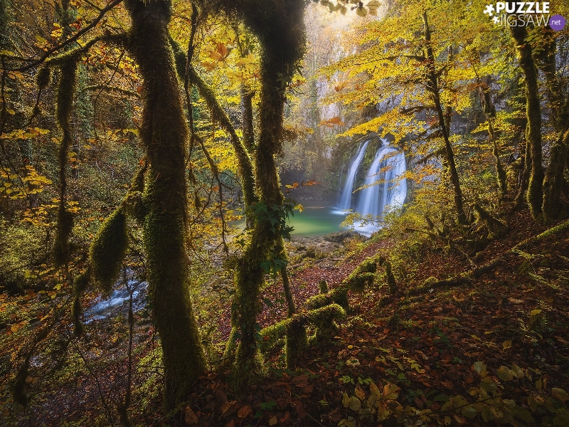 River, forest, viewes, autumn, trees, waterfall