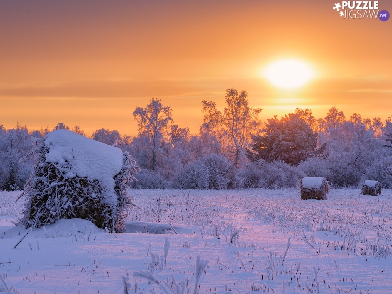 viewes, winter, Field, trees, Great Sunsets, Snowy, Bele