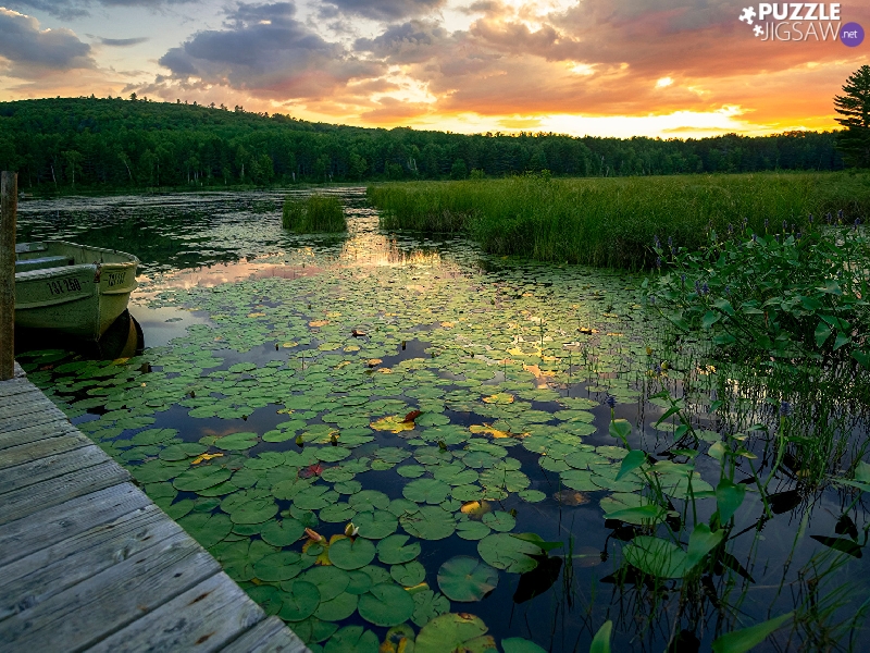 trees, Boat, Leaf, clouds, Water lilies, Platform, Pond - car, Great Sunsets, viewes, grass