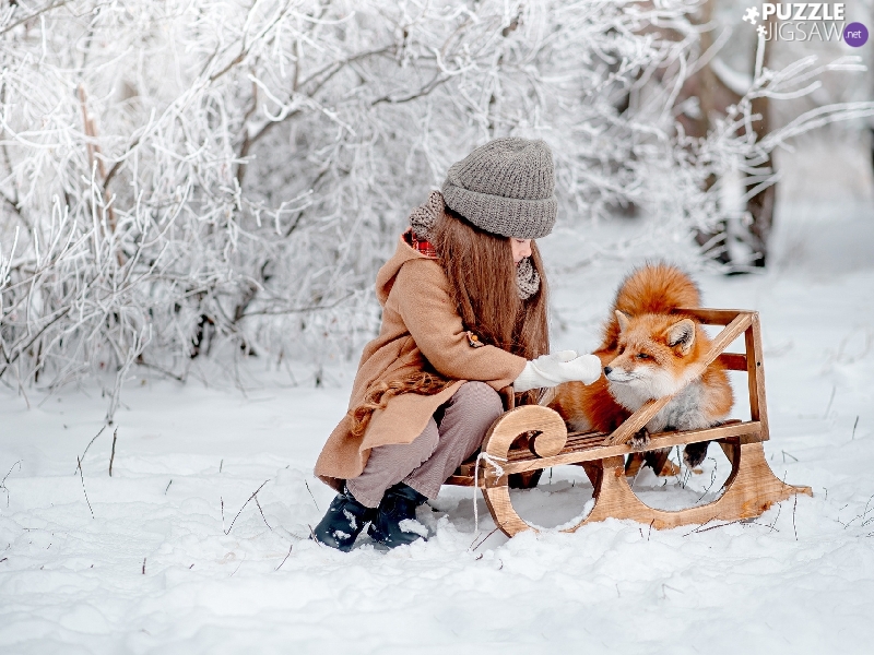 fox-girl-winter-sledge.jpg