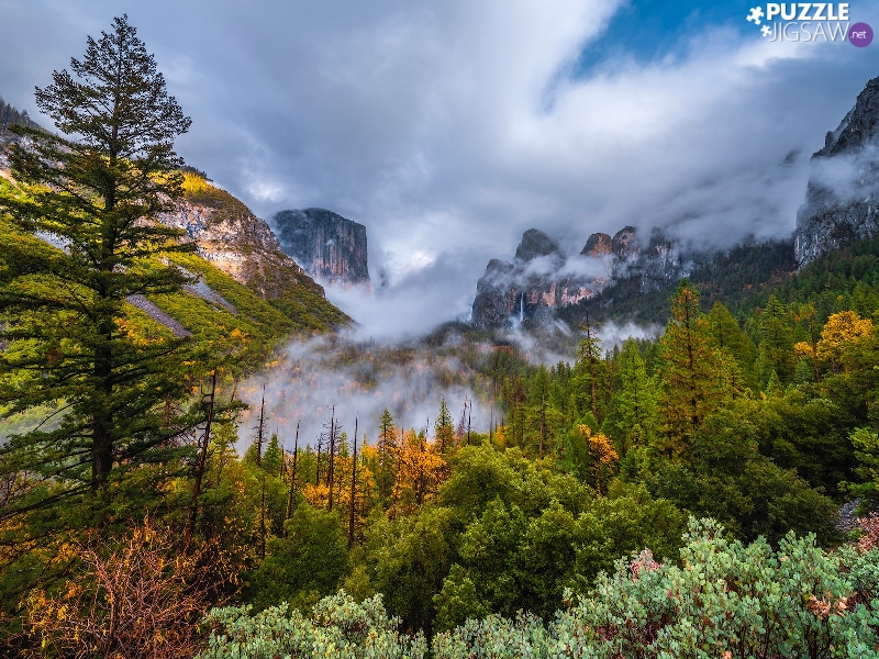 The United States, Mountains, Bush, Fog, viewes, California, Yosemite National Park, trees