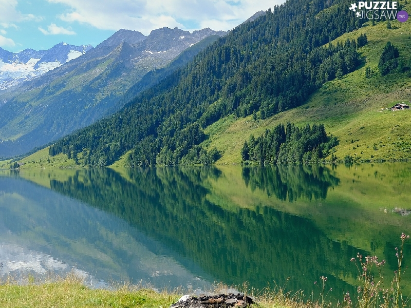 trees, Mountains, grass, reflection, viewes, lake