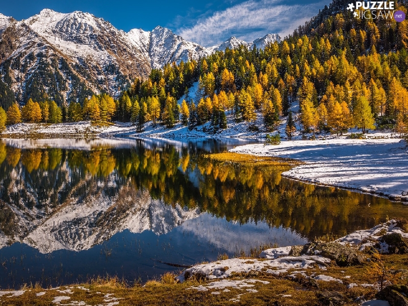 trees, Mountains, snow, reflection, viewes, lake