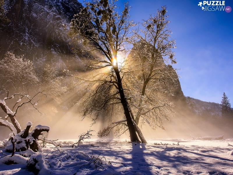 snow, winter, Mountains, trees, California, The United States, sun, Yosemite National Park, light breaking through sky