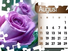 Calendar, august, 2013, rose