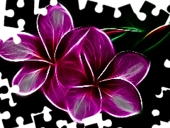 3D, purple, Flowers