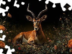 background, Ai, Flowers, Black, Antelope