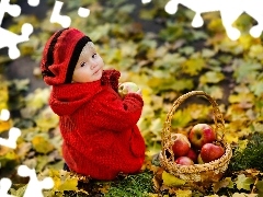 Leaf, girl, apples, autumn, basket, Meadow