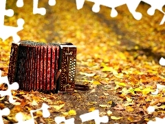 accordion, autumn