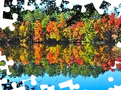 Autumn, forest, trees, viewes, lake