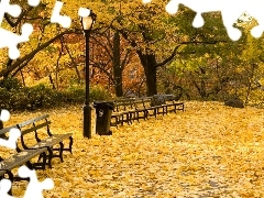 Park, Leaf, autumn, bench