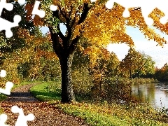 River, Leaf, autumn, Way