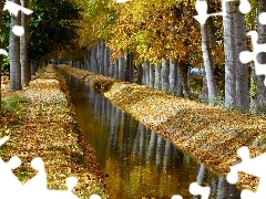 trees, River, autumn, viewes