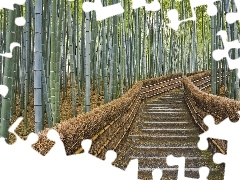 bamboo, Stairs, trees, viewes, forest