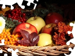 basket, composition, Flowers, Leaf, apples