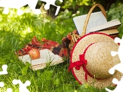 grass, Hat, basket, Apple