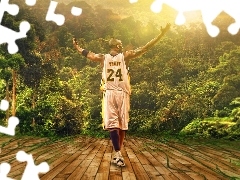 Kobe Bryant, jungle, basketball