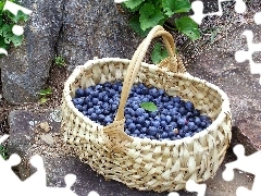 berries, basket, full