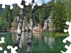 lake, Czech Republic, birch-tree, Ardspach
