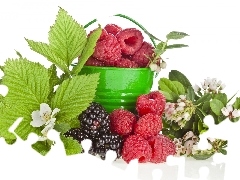 blackberries, Flowers, Bucket, raspberries, green ones