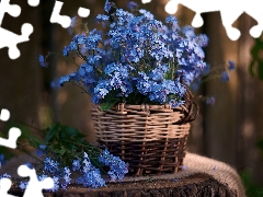 Forget, Flowers, basket, Blue