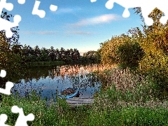 Boat, lake, rushes